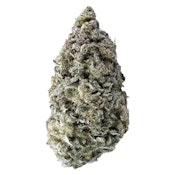 Sky Pilot 14g Dried Flower