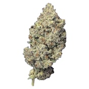 Super Lemon Haze 14g Dried Flower