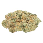 M'mosa  Dried Flower