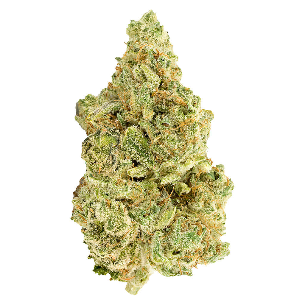 WHITE WIDOW - 7