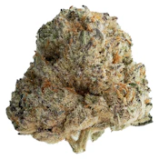 Shot Caller - Original Dankster - Hybrid - Dried Flower 7g