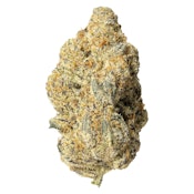 Zombie Bride 3.5g Dried Flower