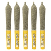 Trippy Sips - Caribbean Crush Kief Coated Infused Pre-roll 5x0.5g Distillates