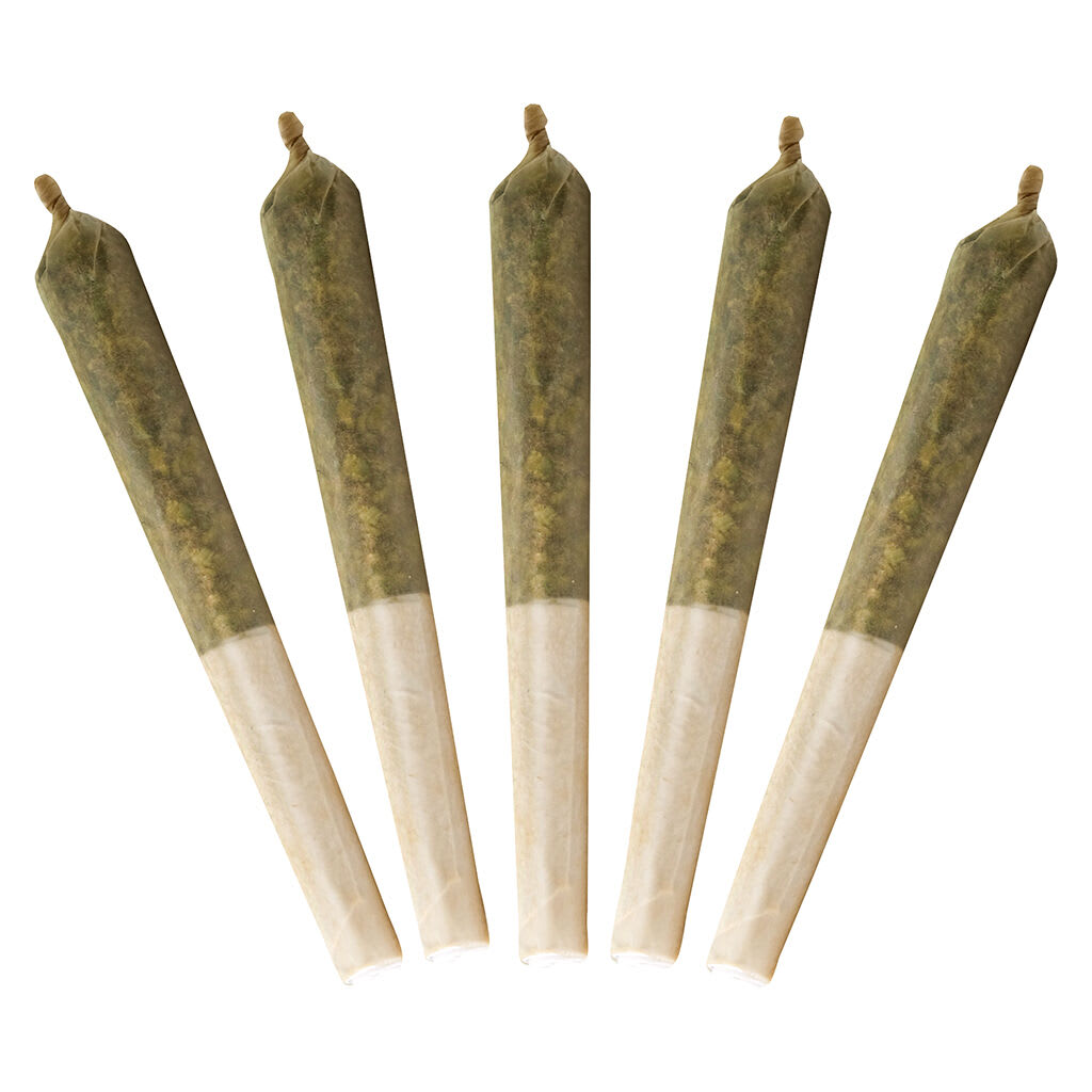 Blue Zlshies Infused Pre-Rolls | 5x0.5g