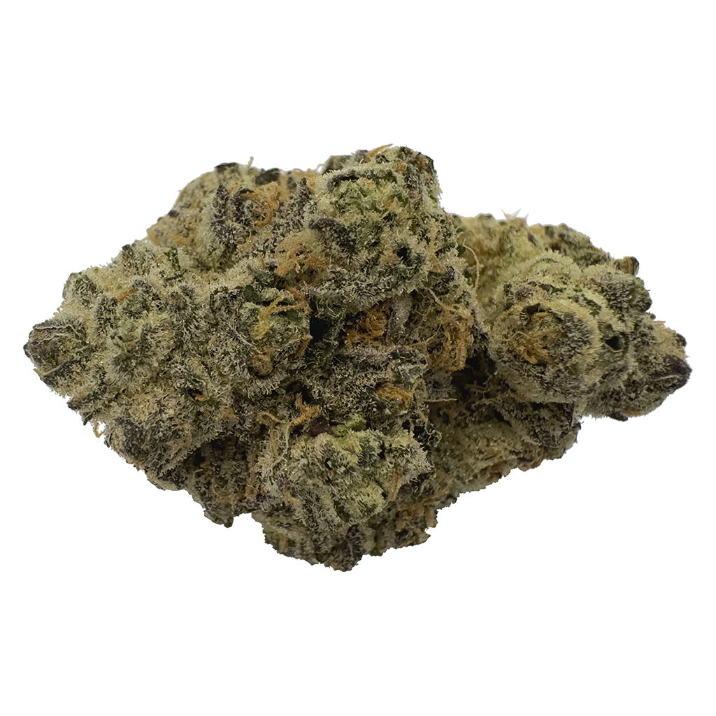 Rare Cuts(Frosted Fruit Cake) 7g Dried Flower