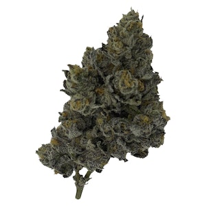 Rocket Factory - Exotic Matter 7g Dried Flower
