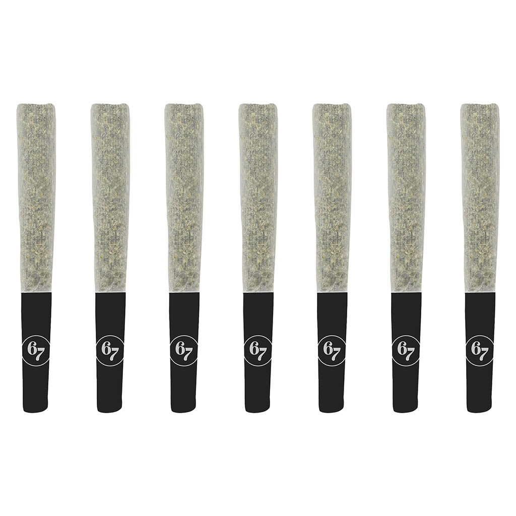 Sixty Seven Sins - Gas Face -7x0.5g