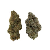 HOMA Dual Pack 7g Dried Flower