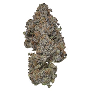 Coterie - Frosted Fruit Cake (Fruity Pebbles OG x Wedding Cake) - Dried Flower 7g