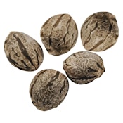 Happy Valley Genetics--Harlequin CBD Feminized Seeds 5 Pack Seeds