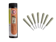 Hawaiian Snow - Hawaiian Haze X Purple Haze  7 x 0.5g Pre-Rolls