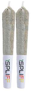 1Spliff - 1Spliff - Sativa (Candyland) Pre-Rolls 2x1g | 2g