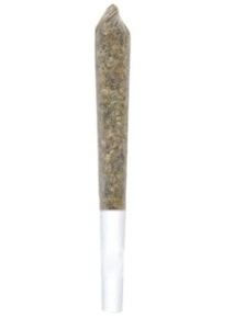 1964 - 1964 | BLUE DREAM PRE-ROLL | 1g