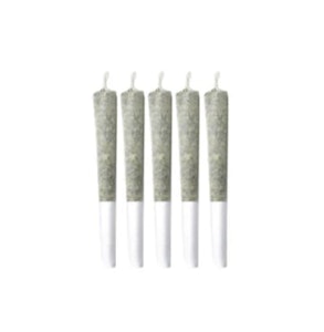 sitka legends - Sitka Legends | Cherry Chatter Pre-Roll | 5 x 0.5 g