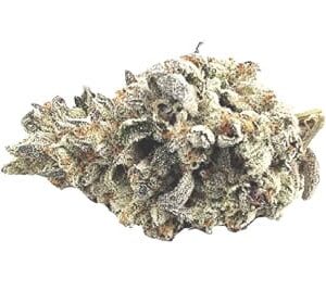 Platinum OG 14g Dried Flower