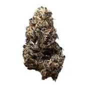 BLACK TRUFFLE - 14