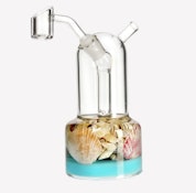Sea Shells Glass Dab Rig 6 inch