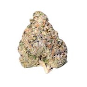 Fort 20 Farms - BC KEY MOH KUSH - 7