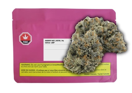 Happy Hour - HARMONY HAZE LAWP LTO - 14