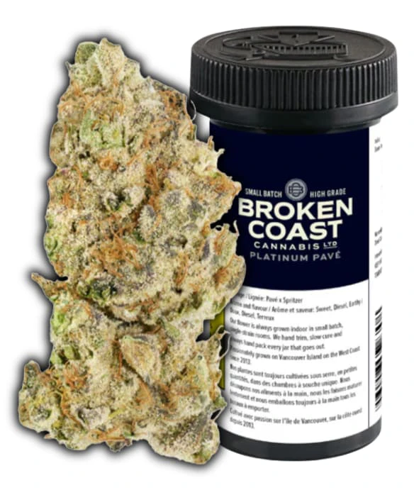 Broken Coast - Broken Coast PLATINUM PAVE 7g Main Image
