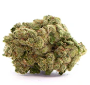 Take 5 - Indica 5g Flower (Rotating Strain)