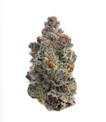 AV Gas - 7g