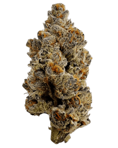 Amani Craft Cannabis  - AV GAS LTO - 7G