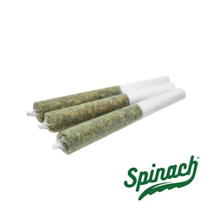 Spinach - SPACE CAKE PRE-ROLLS - 3X0.5G