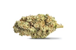 Black Sherb - Black Diamond X Sunset Sherbet 14g Dried Flower