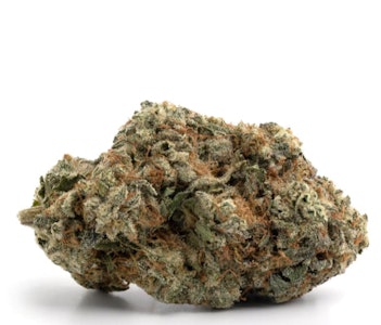 Cloud Fresh - Sour Diesel 3.5g Dried Flower - Cloud Fresh
