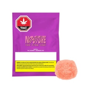 No Future - The Pink One - Pink Lemonade 1 x 10g Soft Chew