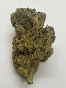 Frosted Gelato (3.5g) - All Nations