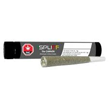 Open Fields - 1Spiff - The Cannon (Pink Kush X Cotton Candy)  - 1x1g Main Image