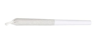 Jean Guy Pre-Roll 7x0.5g Pre-Rolls