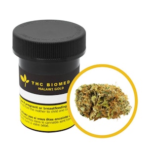 THC Biomed Ltd - Smoke That Thunders | Malawi Gold Sativa | 3.5g Flower