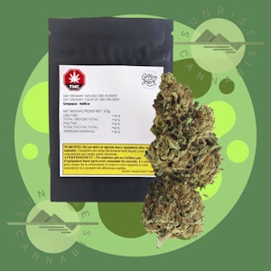 Grown Here Farms - DAY DREAMIN' INFUSED CBD - GROWN HERE FARMS - 7G