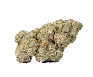 Sheeesh! - Sheeesh! | Jungle Kush | 3.5 g