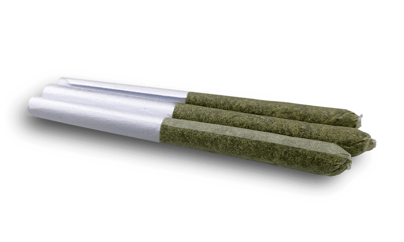 Orange Creamsicle 12x.5g PRs - Western Cannabis