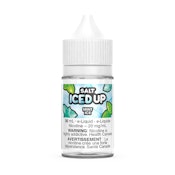 Mint Ice - 30ml - 12mg - ICED UP