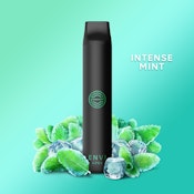Intense Mint - 2500 Puff -20mg - ENVI APEX