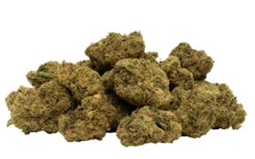 7ACRES WHITE WIDOW X - 28g