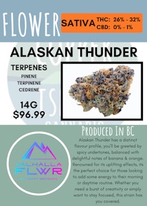 VALHALLA FLWR - 14G - VALHALLA FLWR - ALASKAN THUNDER