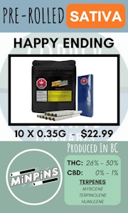 MinPins - MINPINS - 10PK HAPPY ENDING PRS