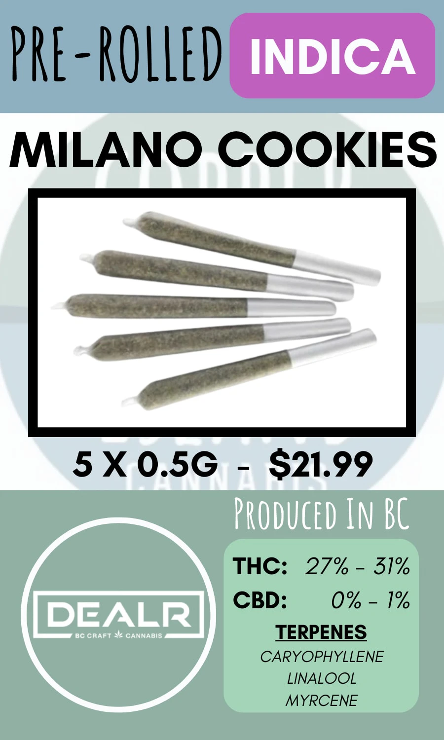DEALR - DEALR - 5PK MILANO COOKIE PRS Main Image