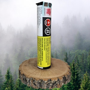 1964 - 1964 | BLUE DREAM PRE-ROLLS | 5 X 0.5g