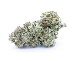 The Original Fraser Valley Weed Co. - KUSH BREATH Main Image