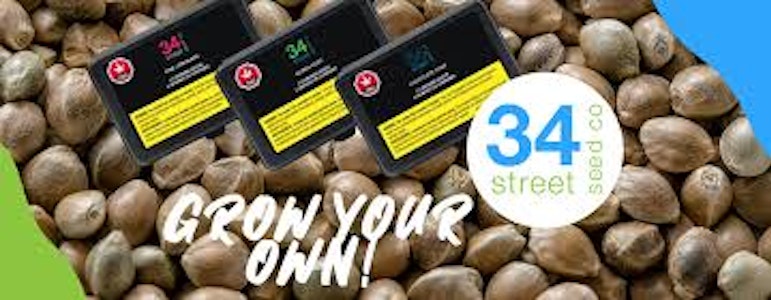 34th Street - 34th Street 5 Seed Pack