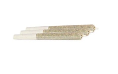 BC Green - GLUE 31 PRE-ROLLS - 1.5