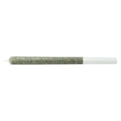 The Jeffrey Pre-Roll 10x0.35g Pre-Rolls