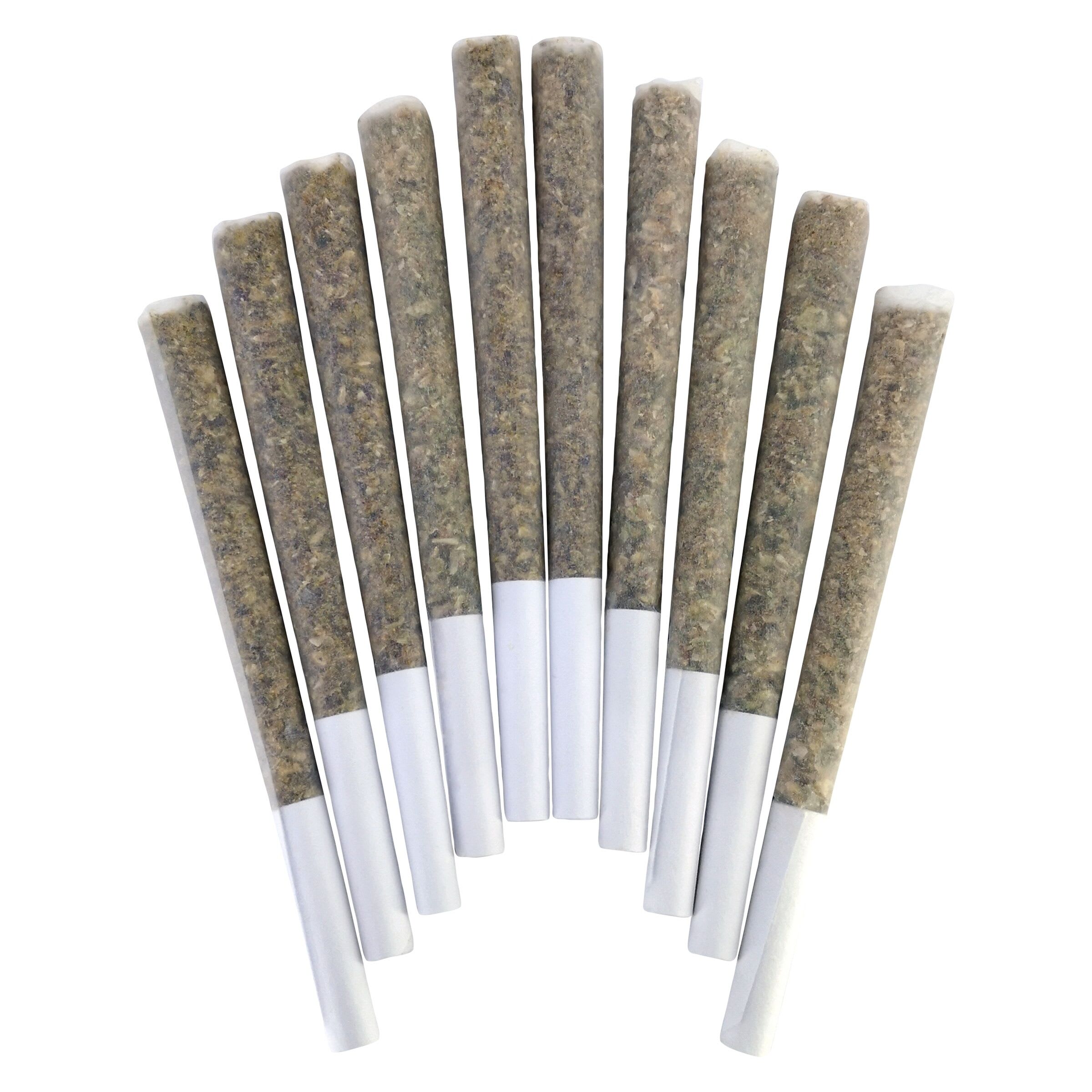 BC Doobies - TootZ Pop - Hybrid -10x0.5g